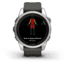 Garmin Fenix 7S Pro Solar Edition Silver with Graphite Band Watch, 010-02776-00