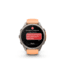 Garmin Fenix 9 Pro Watch