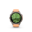 Garmin Fenix 9 Pro Watch