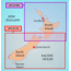 Garmin On The Water GPS Cartography BlueChart g2: New Zealand Small Map w/ Free S&amp;H