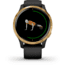 Garmin Venu GPS Smartwatch, Black/Gold, 010-02173-31