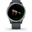 Garmin Venu GPS Smartwatch, Granite Blue/Silver, 010-02173-01