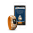 Garmin Vivofit jr2, English Only, Stretchy, BB-8 010-01909-21