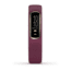 Garmin Vivosmart 4, NA/AUS, Merlot/Gold, Small/Medium 010-01995-11