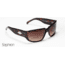 Gatorz Saphron, Brown Frame, Brown Gradient Lens