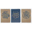 Gibbs Solitude Set of 3 Notebook, 3.5 x 5.5in, 9781423651956