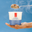 Good To-Go Cup - Variety Pack, 9501cp