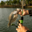 Googan Squad Green Series 7ft Micro Light Spinning Rod