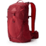 Gregory Maya 20 Plus Daypack, Iris Red, One Size, 146673-9975
