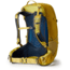 Gregory 30 Liters Juno Daypack, Mineral Yellow, One Size, 126898-1561