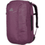 Gregory Border 25 L Pack -Zin Purple