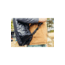 Gregory Alpaca 60L Duffel Bag
