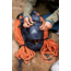 Gregory Alpinisto 30L Backpack