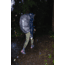 Gregory Deva 80 85L Pro Backpack - Womens