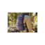 Gregory Kiro 20L Daypack