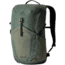 Gregory Nano 24L Daypack