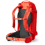 Gregory Targhee 32L Snow Pack