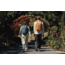 Gregory Terros 28L Backpack