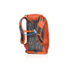 Gregory Inertia 20 3D-Hydro Large Day Pack,Ferrous Orange, - Men's 91601-6397