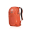 Gregory Inertia 20 3D-Hydro Large Day Pack,Ferrous Orange, - Men's 91601-6397