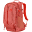 Patos 28 Pack-Autumn Rust