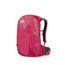 Gregory Swift 30 3D-Hydro Large Day Pack,Orchid Red, - Women's 91607-6394