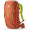 Gregory Targhee FT 24 Pack, Rust Red, Medium/Large, 139431-7222