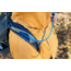 Gregory Zulu 28 LT Plus Daypack - Mens, Forage Green, One Size Plus, 149410-9976