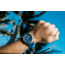 Hawaiian Lifeguard Association Dive Watches, Blue Dial, Blue Strap, Steel, One Size, HLA 5419