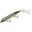 Heddon Super Spook Topwater Walking Bait, 5in, 7/8oz, Feathered Treble, Foxy Momma, X9256F426
