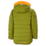 Helly Hansen Junior North Down Jacket, Fir Green, 164/14, 41595-487-14