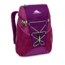 High Sierra Pack-N-Go 2 18L Sport Backpack, Eggplant/Berry Blast/Lime, 18.0inx 11.0inx 8.0in, 63906-4414