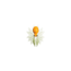 Hog Wild Beetle Spoon Assorted 10480