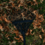 Hooyman Leaf Rake, 59in, 1160961
