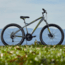 Huffy Extent Mountain Bike - Mens, Gray, 26 In, 66340