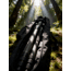 Huto Lifestyle Lifestyle Onyx Stealth Carbon Fiber Tripod
