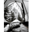 Huto Lifestyle Sub-Zero 750 Fill Power Sleeping Bag