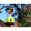 Hybridlight Atlas Solar Camping Lantern/Charger, Yellow 1625