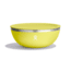 Hydro Flask 1 QT Bowl With Lid, Cactus, 1 qt, OKB1752