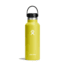Hydro Flask 18 Oz Standard Flex Cap, Cactus, 18 oz, S18SX752