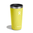 Hydro Flask 20 oz All Around Tumbler, Cactus, 20 oz, T20CPB752