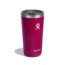 Hydro Flask 20 oz All Around Tumbler, Snapper, T20CP604