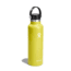 Hydro Flask 21 Oz Standard Flex Cap, Cactus, 21 oz, S21SX752