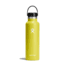 Hydro Flask 21 Oz Standard Flex Cap, Cactus, 21 oz, S21SX752