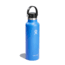 Hydro Flask 21 Oz Standard Flex Cap, Cascade, 21 oz, S21SX482