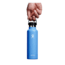Hydro Flask 21 Oz Standard Flex Cap, Cascade, 21 oz, S21SX482