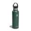 Hydro Flask 21 Oz Standard Flex Cap, Fir, 21 oz, S21SX332