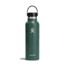 Hydro Flask 21 Oz Standard Flex Cap, Fir, 21 oz, S21SX332