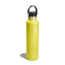 Hydro Flask 24 Oz Standard Flex Cap, Cactus, 24 oz, S24SX752