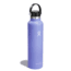 Hydro Flask 24 Oz Standard Flex Cap, Lupine, 24 oz, S24SX474